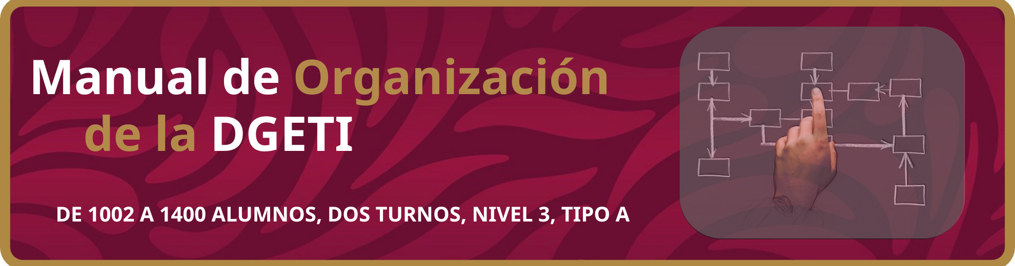 Manual de Organización de la DGETI